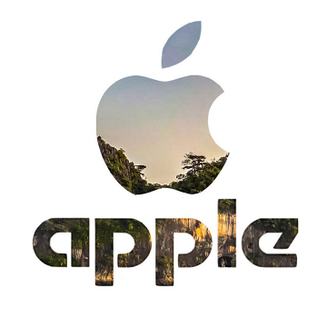 Apple Inc. Apple Inc.